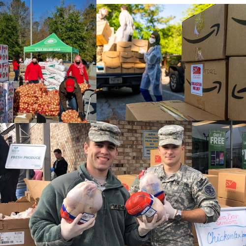 Volunteers (2)