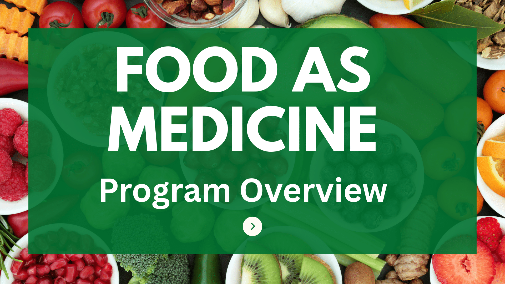 Program Overview